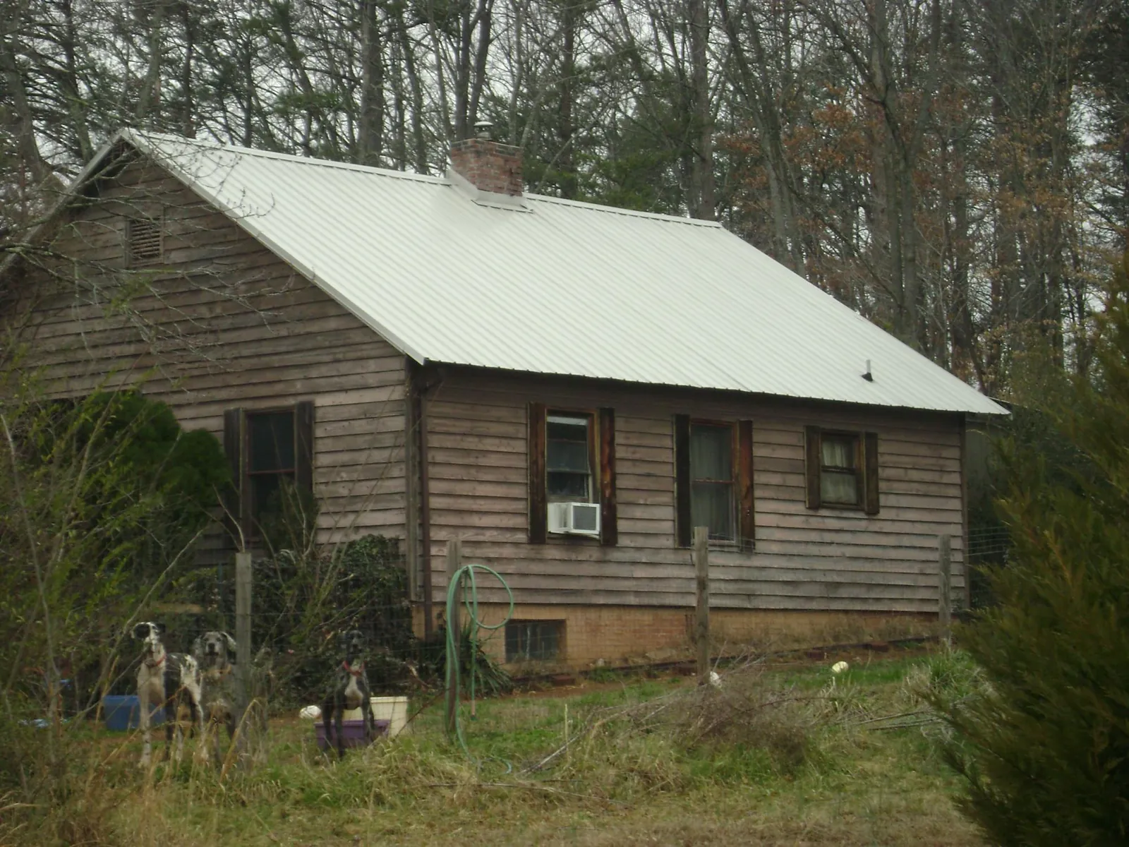 White metal roof on an old wood sided farmhouse, from a Asphalt Shingle Roof Repair job in Byron